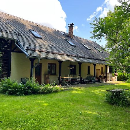Dom Goscinny Leniuchy Lesna  Exterior photo