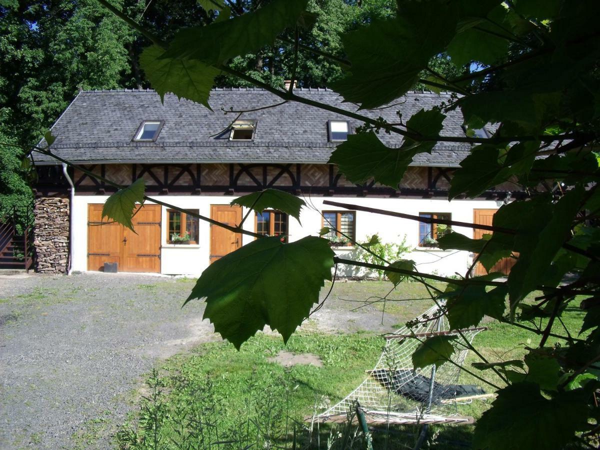 Dom Goscinny Leniuchy Lesna  Exterior photo